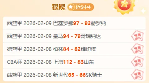 绿军骑士领跑榜单，灰熊九战八胜力争前五